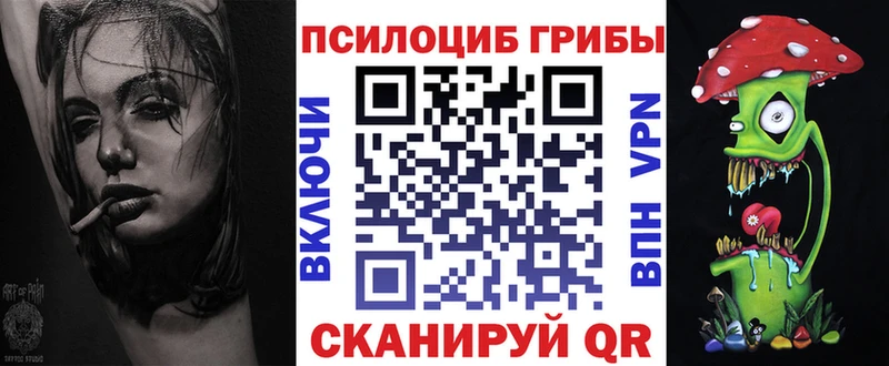 Псилоцибиновые грибы Cubensis  хочу наркоту  Котельнич 